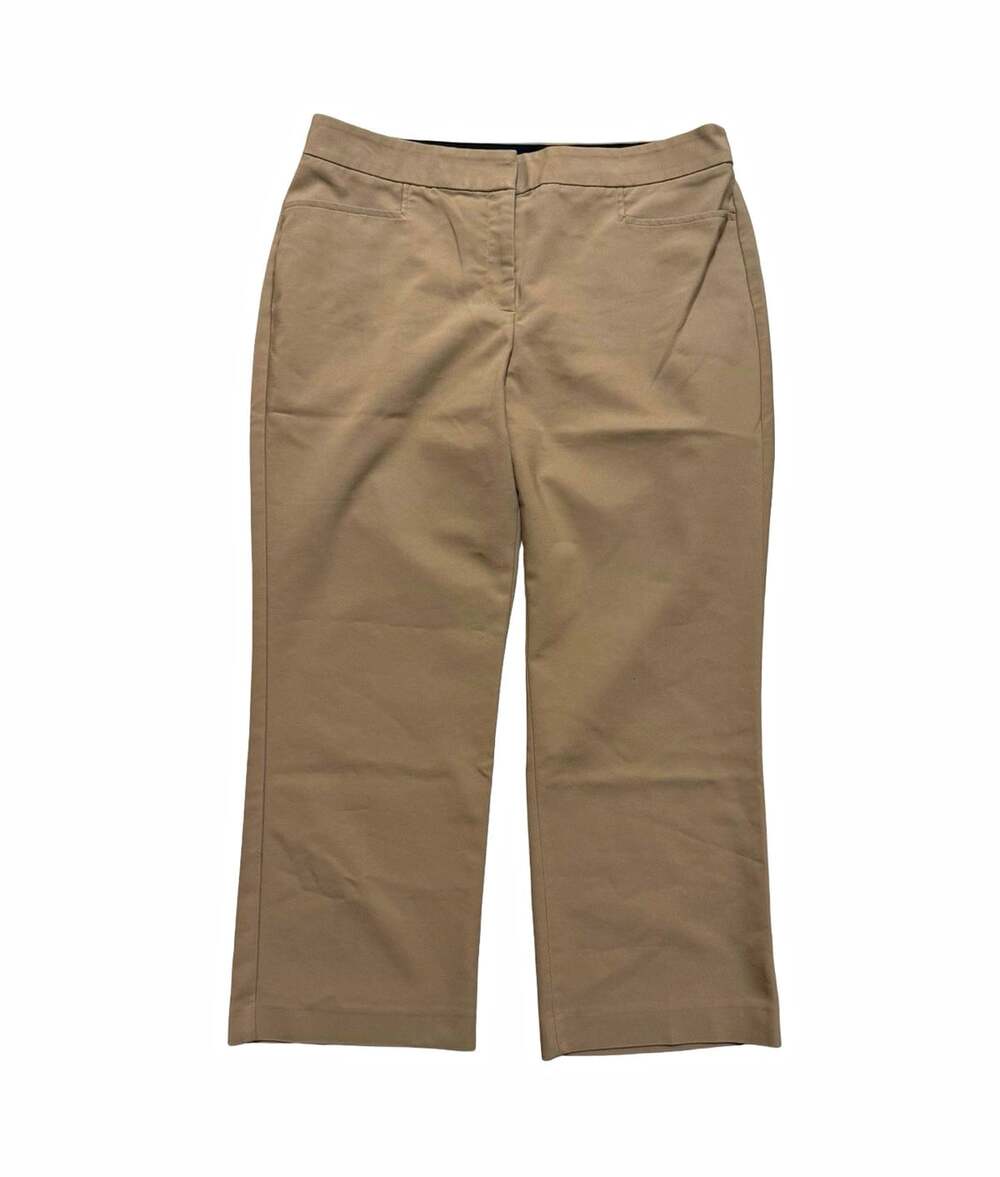 Express Beige Solid Straight Leg Dress Pants Flat Front Womens Regular
